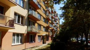 Pronjem 1+0, Pekrensk, esk Budjovice.