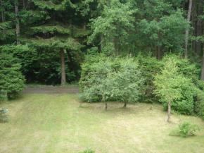 Chata 3+1, pozemek 764 m2, elzkv mln, Strkovice