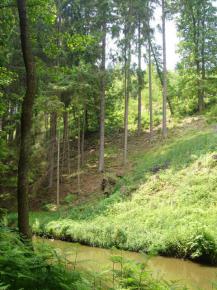 Chata 3+1, pozemek 764 m2, elzkv mln, Strkovice