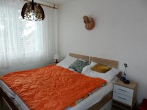 3+1 s balkonem, OV, 74 m2, Sdlit, Velen.