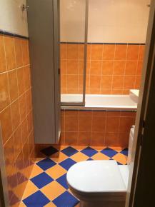 Pronjem 2+1 s balkonem, 65 m2, Vtrn, esk Budjovice.