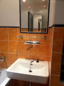 Pronjem 2+1 s balkonem, 65 m2, Vtrn, esk Budjovice.