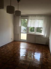 Pronjem 2+1 s balkonem, 65 m2, Vtrn, esk Budjovice.