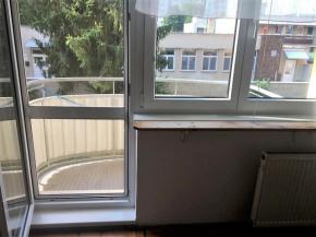 Pronjem 2+1 s balkonem, 65 m2, Vtrn, esk Budjovice.