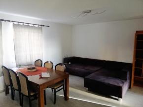 Pronjem 2+kk, 50 m2, Dobejovice u Hosna.