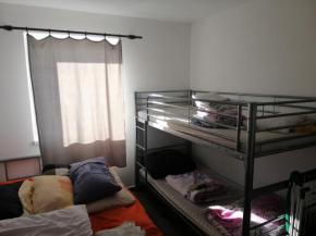 Pronjem 2+kk, 50 m2, Dobejovice u Hosna.