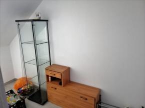 Pronjem 2+kk, 50 m2, Dobejovice u Hosna.