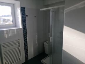 Pronjem 2+kk, 50 m2, Dobejovice u Hosna.
