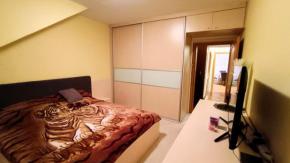 Podkrovn 3+kk, 93 m2, Skuherskho, esk Budjovice