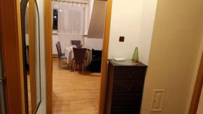 Podkrovn 3+kk, 93 m2, Skuherskho, esk Budjovice