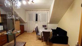 Podkrovn 3+kk, 93 m2, Skuherskho, esk Budjovice