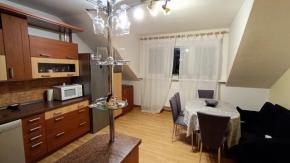 Podkrovn 3+kk, 93 m2, Skuherskho, esk Budjovice