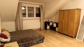 Podkrovn 3+kk, 93 m2, Skuherskho, esk Budjovice