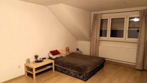 Podkrovn 3+kk, 93 m2, Skuherskho, esk Budjovice