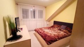 Podkrovn 3+kk, 93 m2, Skuherskho, esk Budjovice