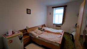 3+1 se zahradou, Jungmannova, esk Velenice