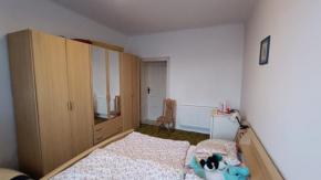 3+1 se zahradou, Jungmannova, esk Velenice