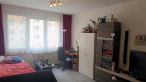2+1, 57 m2, OV, Josefy Kolov, esk Budjovice