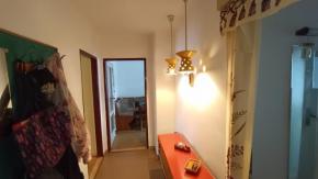 2+1, zahrada, OV, 57,33 m2, Otakarova, esk Budjovice